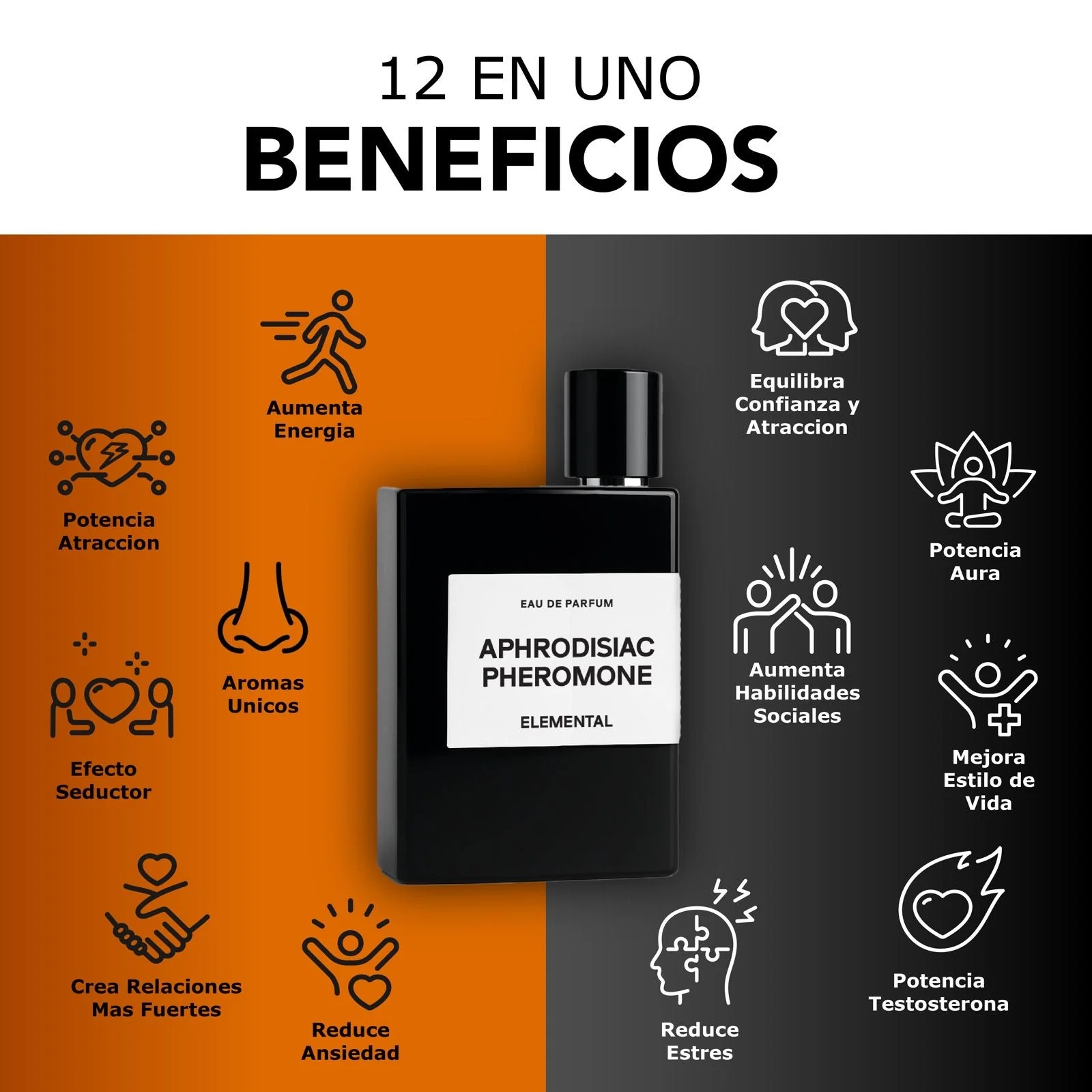 Miniatura 10